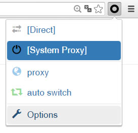 Menu de opções do SwitchyOmega