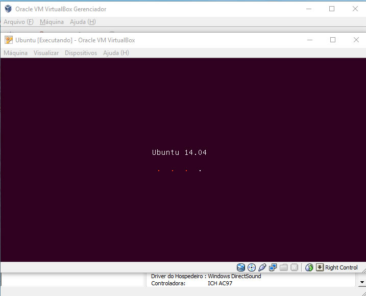 Ubuntu inicializando